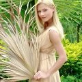 erotic photo, naked girls, hookers, porn photos